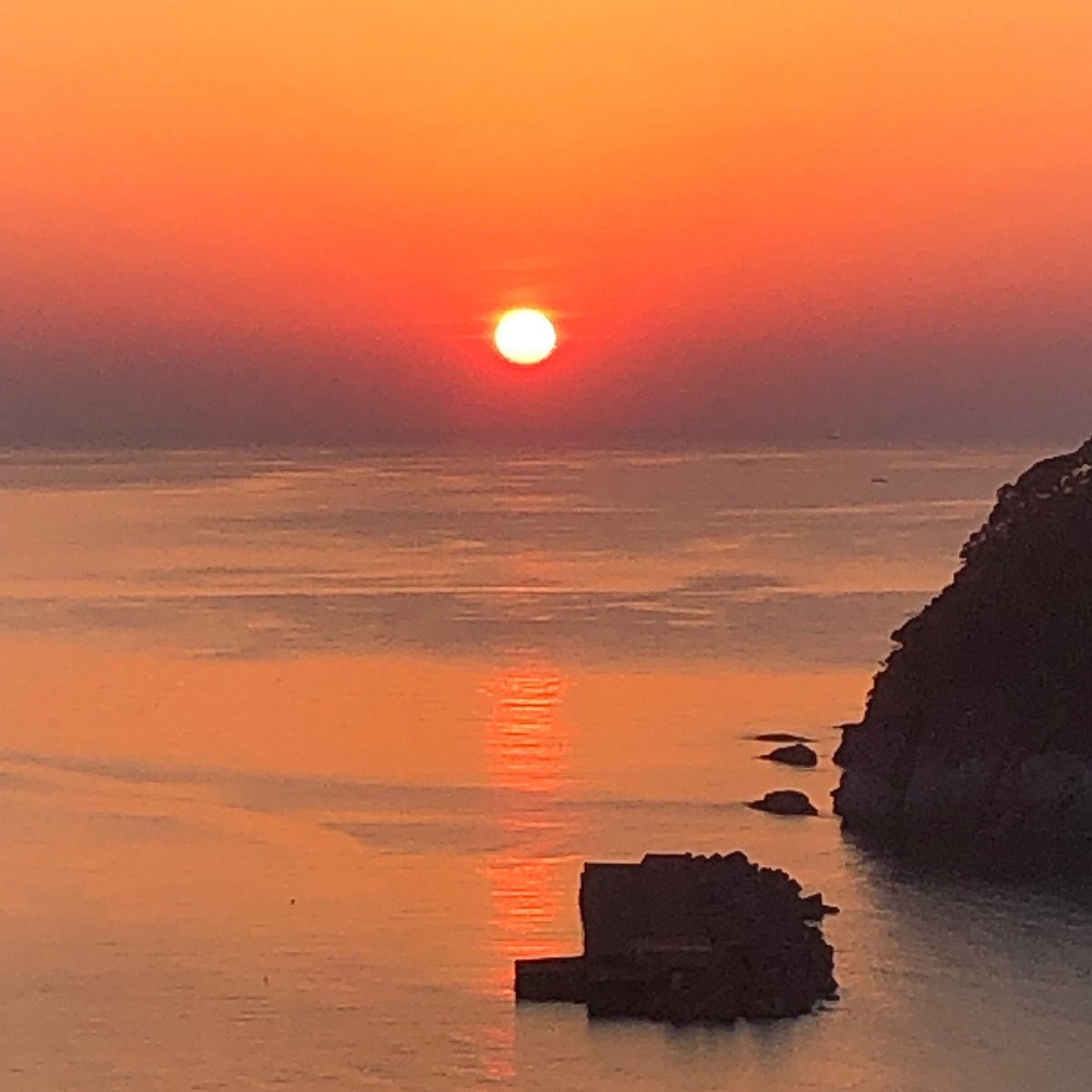 🐳 카스미 꿈고래 공원(카스미 유메쿠지라 코엔) 이미지 5